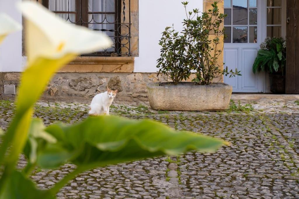 Вилла Mima'S House - La Casa De Mima Комильяс Экстерьер фото